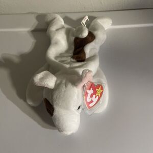TY Beanie Babies: Butch; 2 Rarest Errors!!! October 02, 1998 ( Retired)